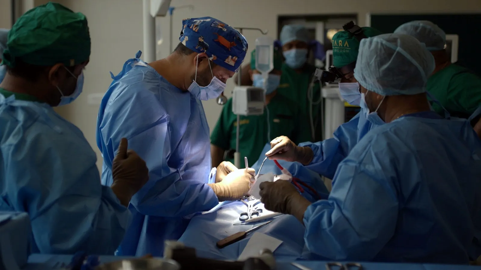 anant ambani | anant ambani vantara | Mukesh ambani son anant ambani | vantara jamnagar | vantara jamnagar photo | vantara animals resue | vantara elephant hospital | vantara animals treatment