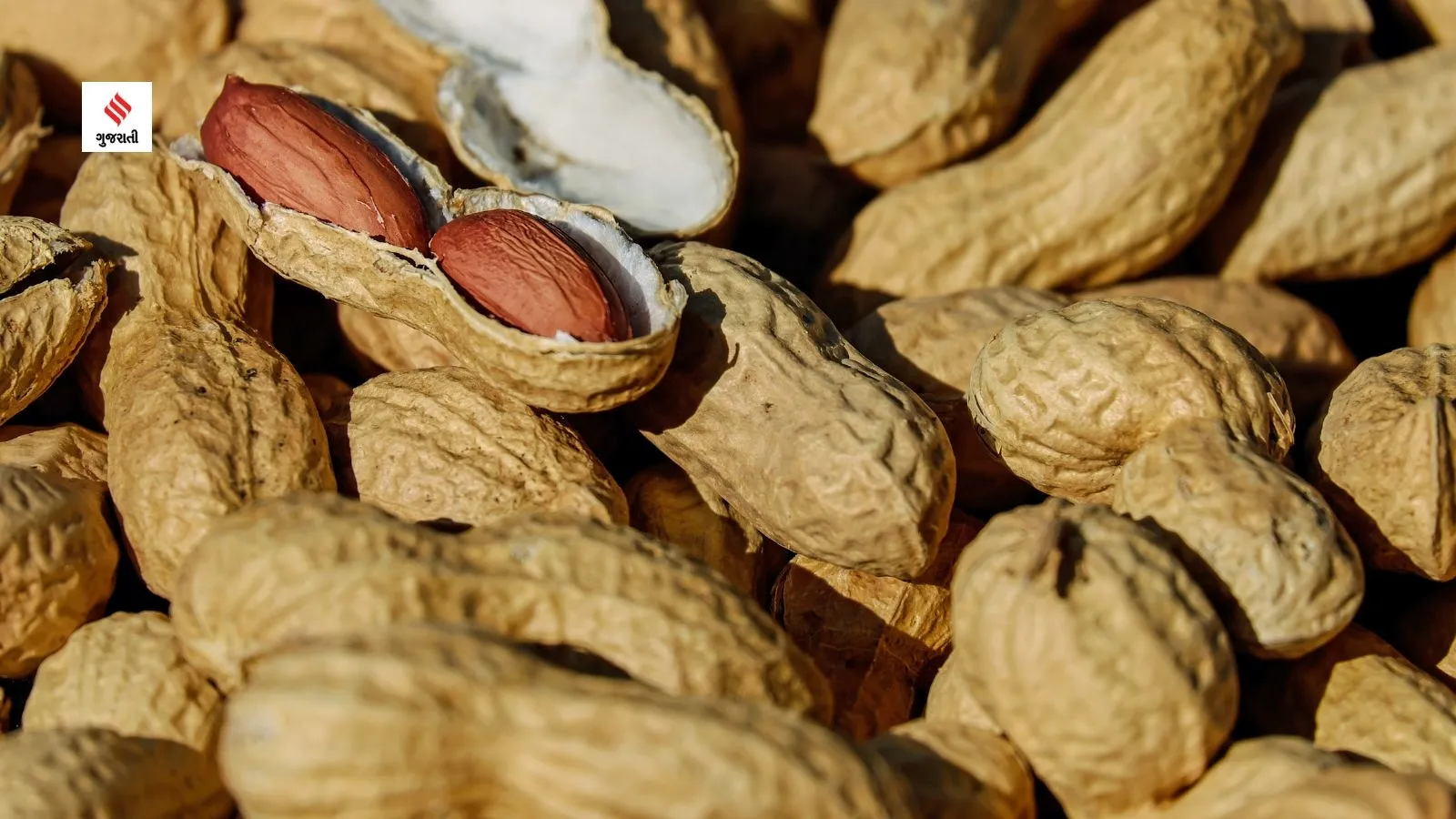 how to consume peanuts cause for liver damage diet tips health tips in gujarati