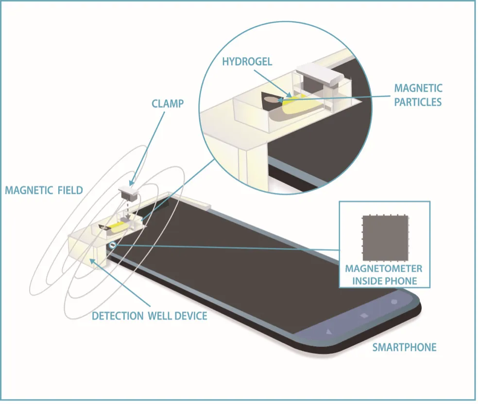 blood glucose measure by smartphone | blood glucose measure | smartphone