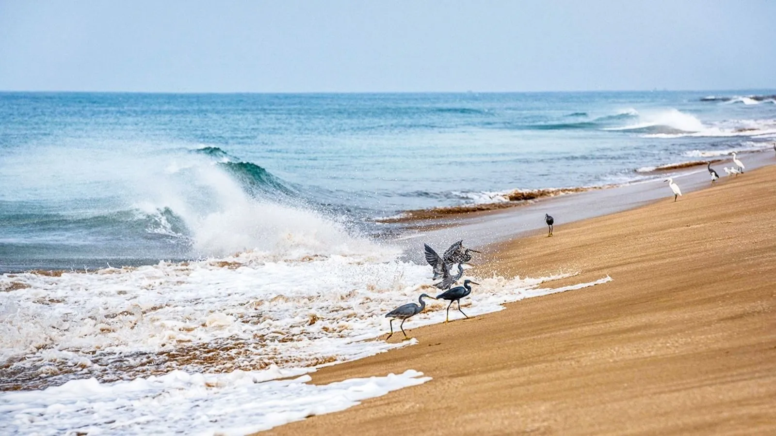 madhavpur beach porbandar | madhavpur beach porbandar | gujarat famous beaches list | gujarat famous beach madhavpur | madhavpur famous tourist places | famous tourist places in porbandar
