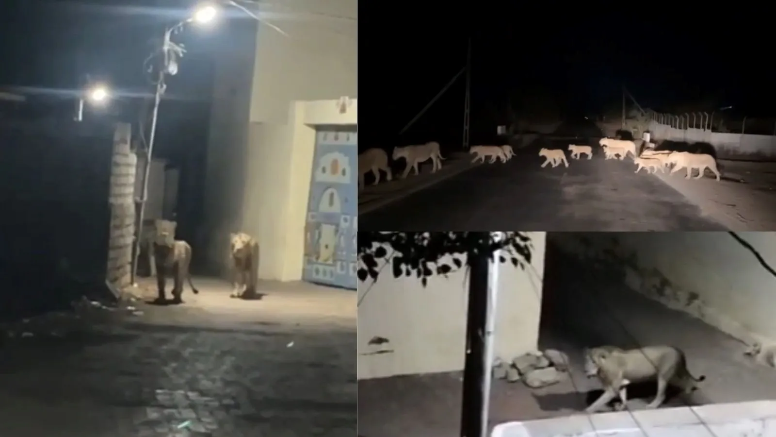 Today Gujarat Latest News 24th June 2024 - 5