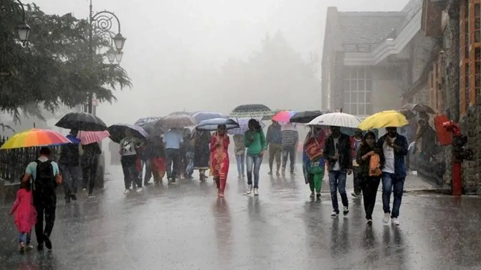 Gujarat Monsoon 2024 Rainfall