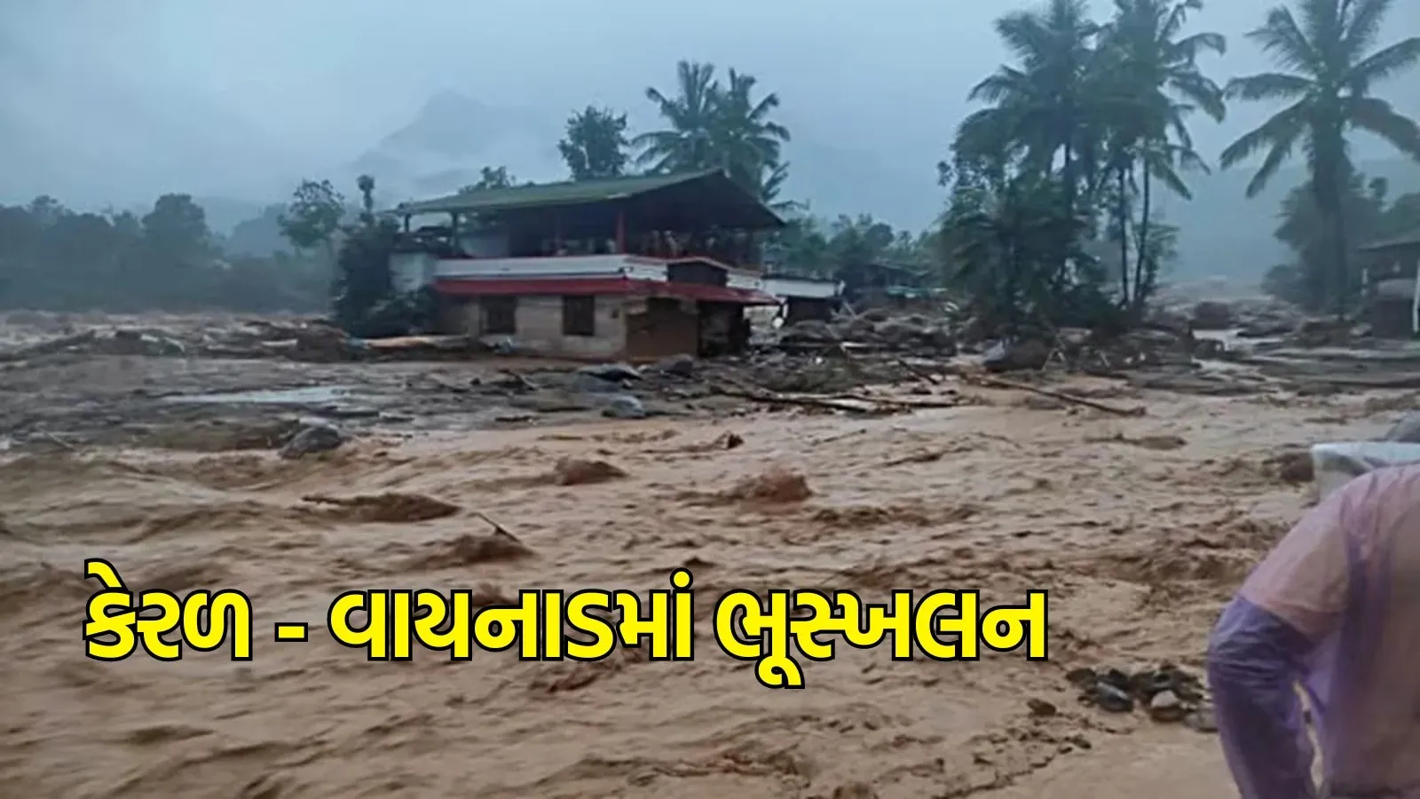 Wayanad Landslide: કેરળના વાયનાડમાં ભૂસ્ખલન