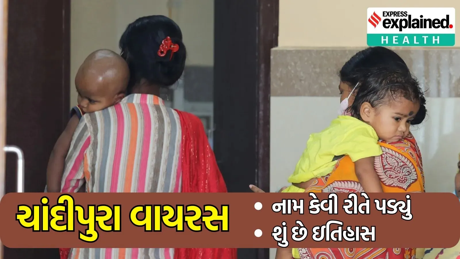 Chandipura Virus History and all Information