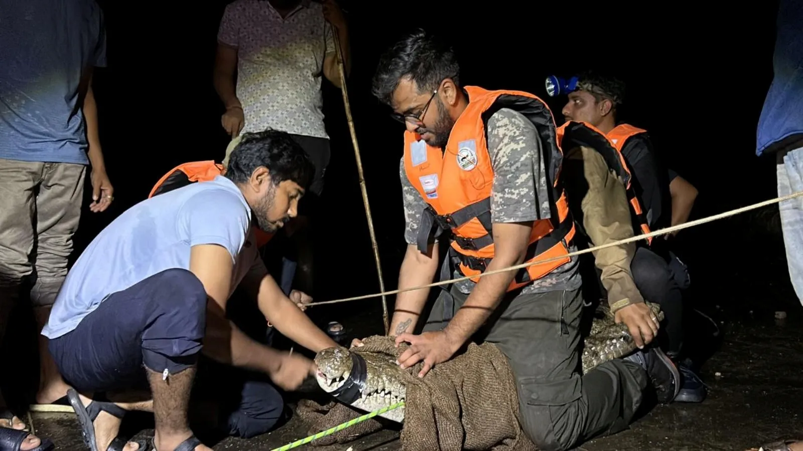 Crocodiles Rescue in Vadodara | વડોદરા મગર રેસ્ક્યૂ વીડિયો
