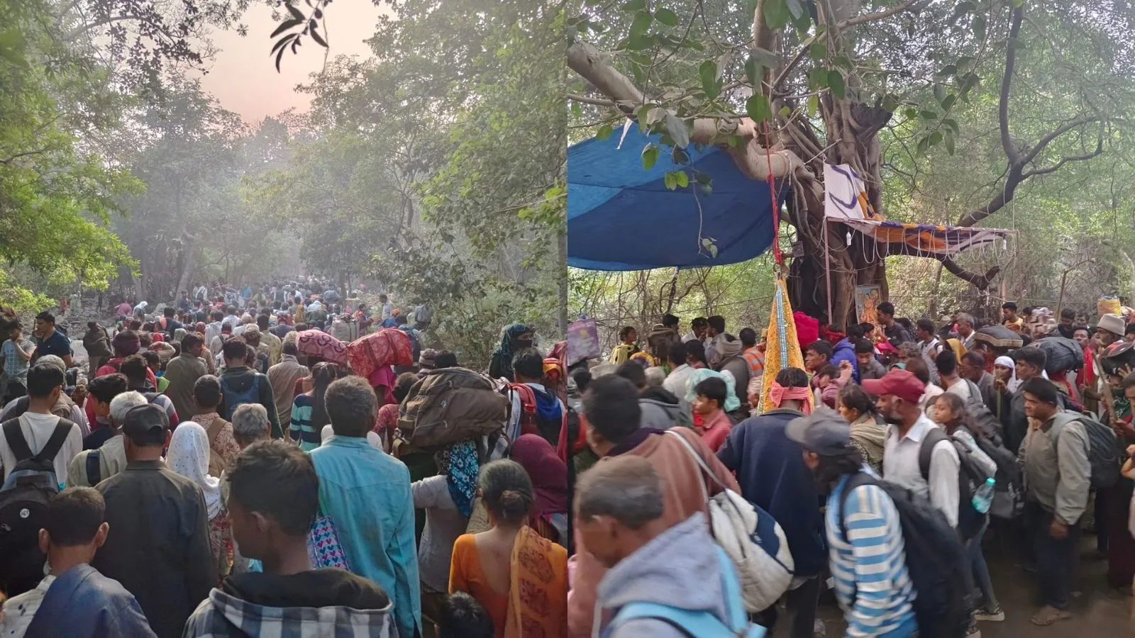 (તસવીર: Instagram/Girnaribhomiyo)