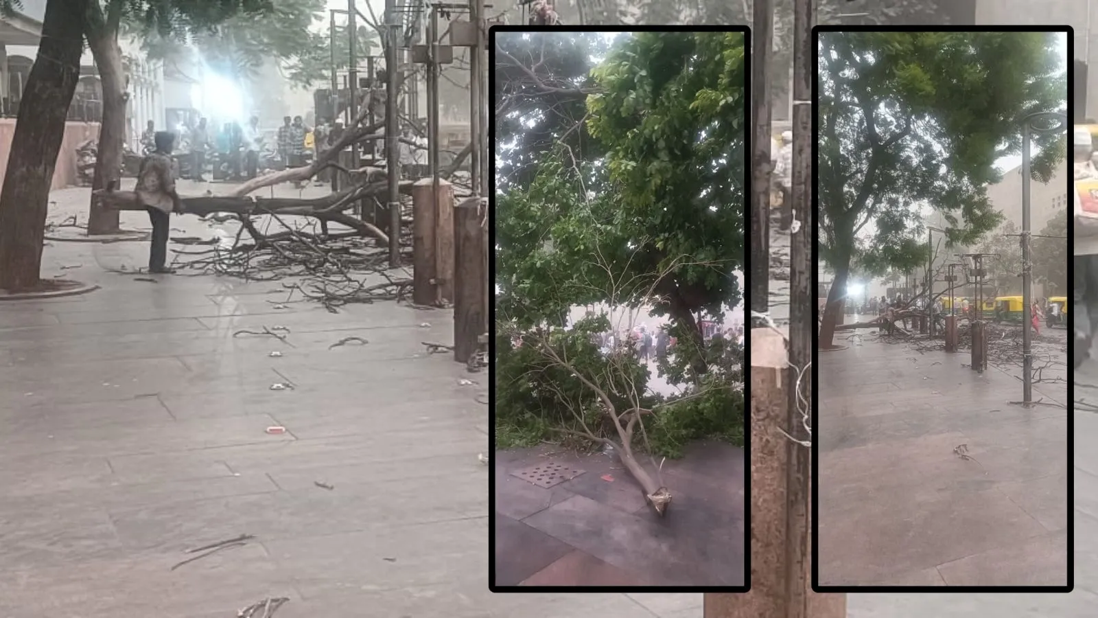 Rain warning in Gujarat, storm forecast,