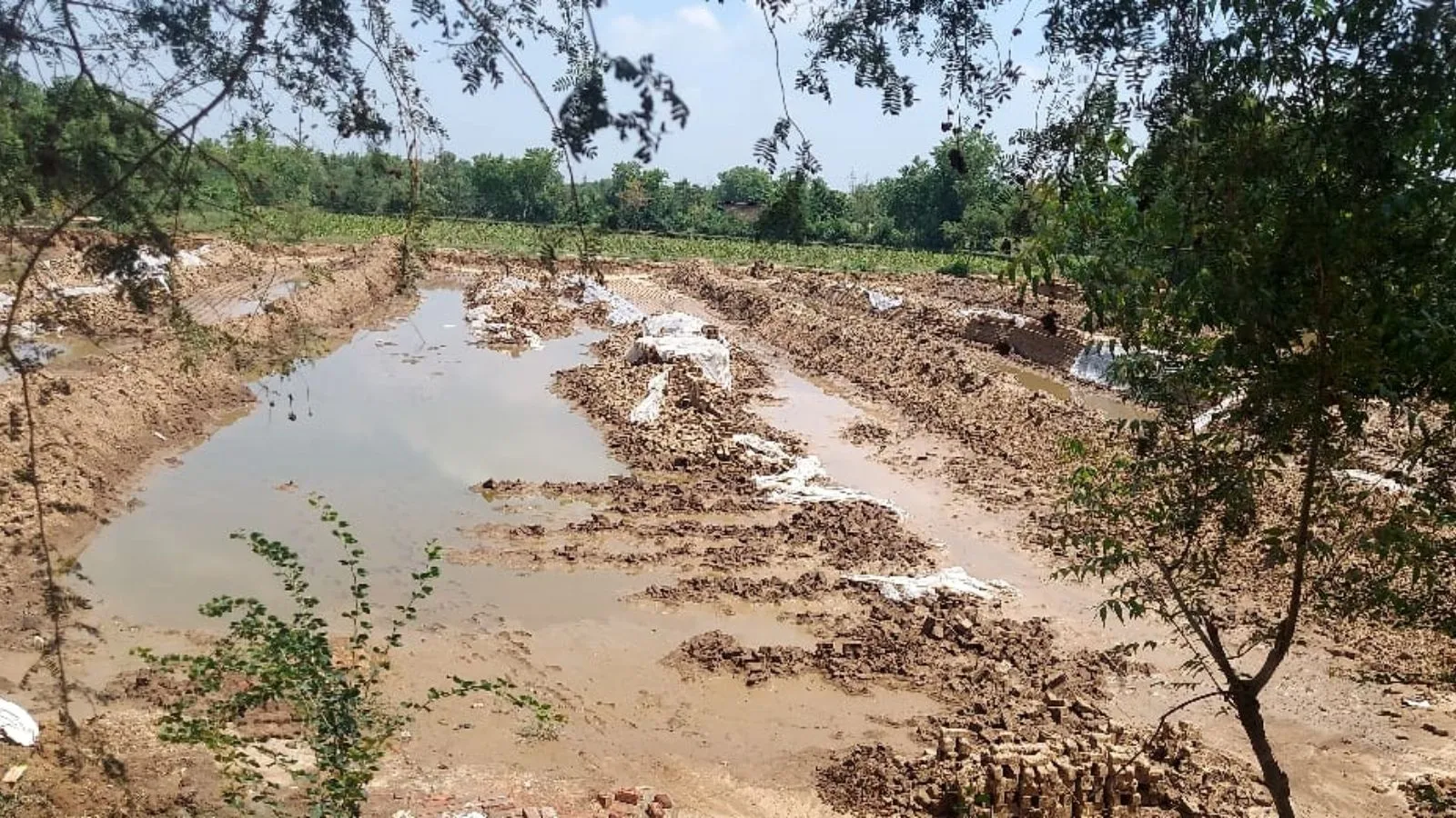 Brick kiln, ઈંટનો ભઠ્ઠો, Gujarat