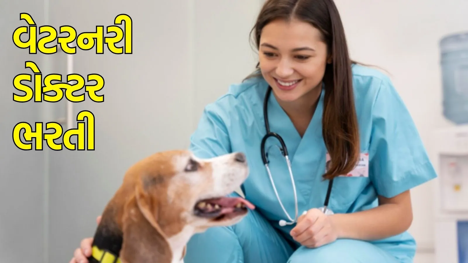 Veterinary Doctor Recruitment  in gujarati