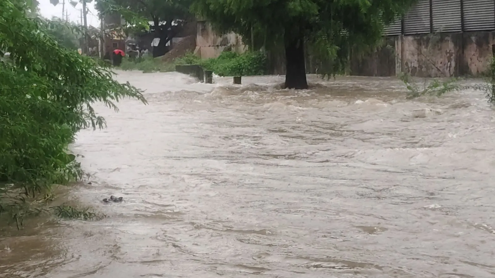 torrential rain in Gujarat