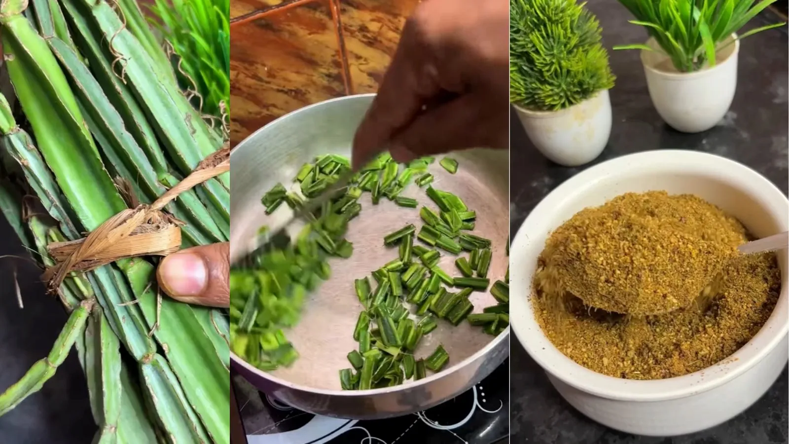 Hadjod Plant, Hadjod Benefits