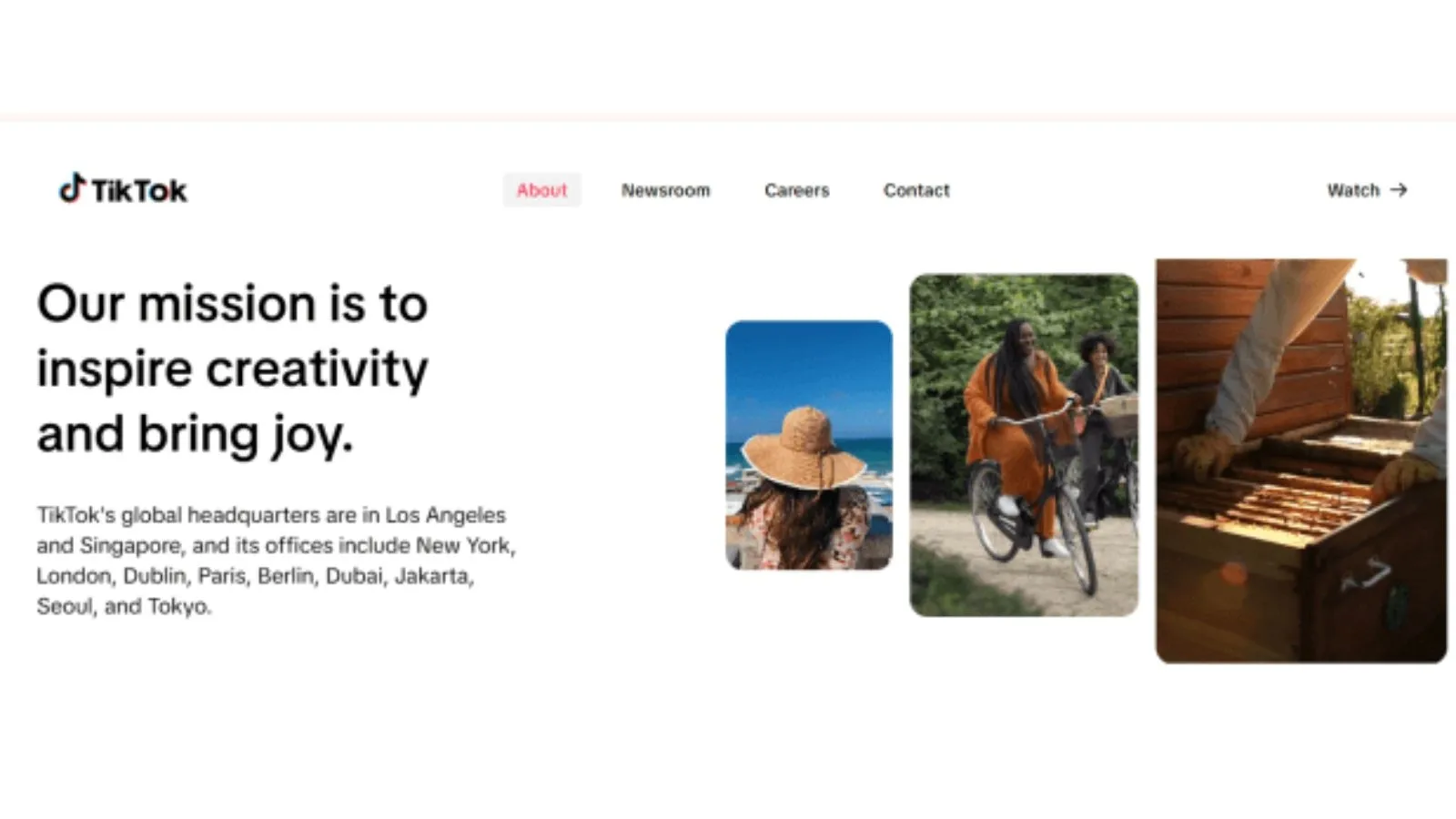 Tiktok website working