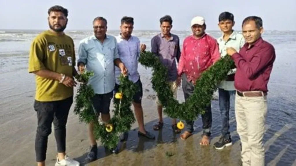 New prosperity rising in the sea