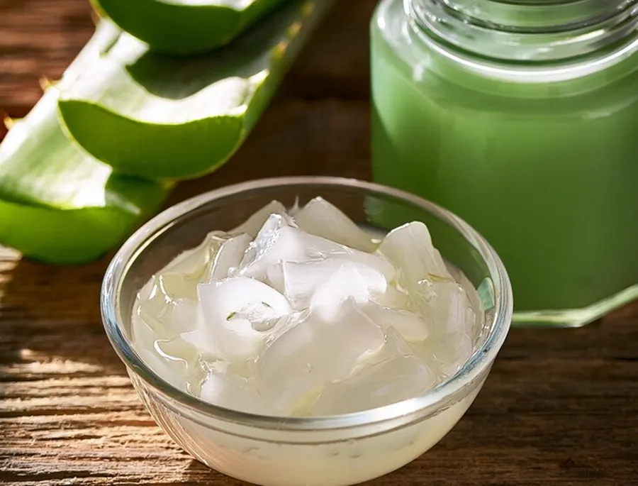 Aloe Vera Curd Pack For Glossy Thick Hair