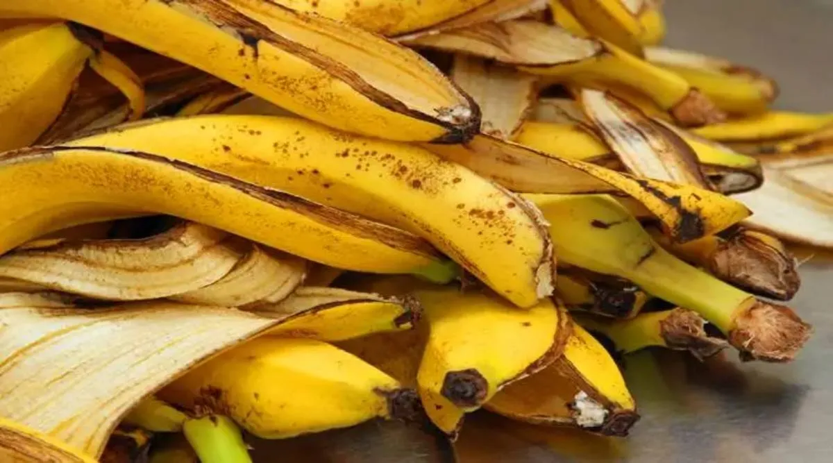 bananapeel