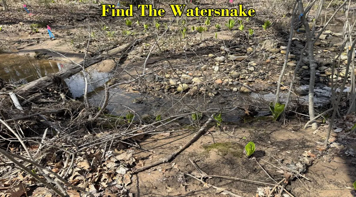 water