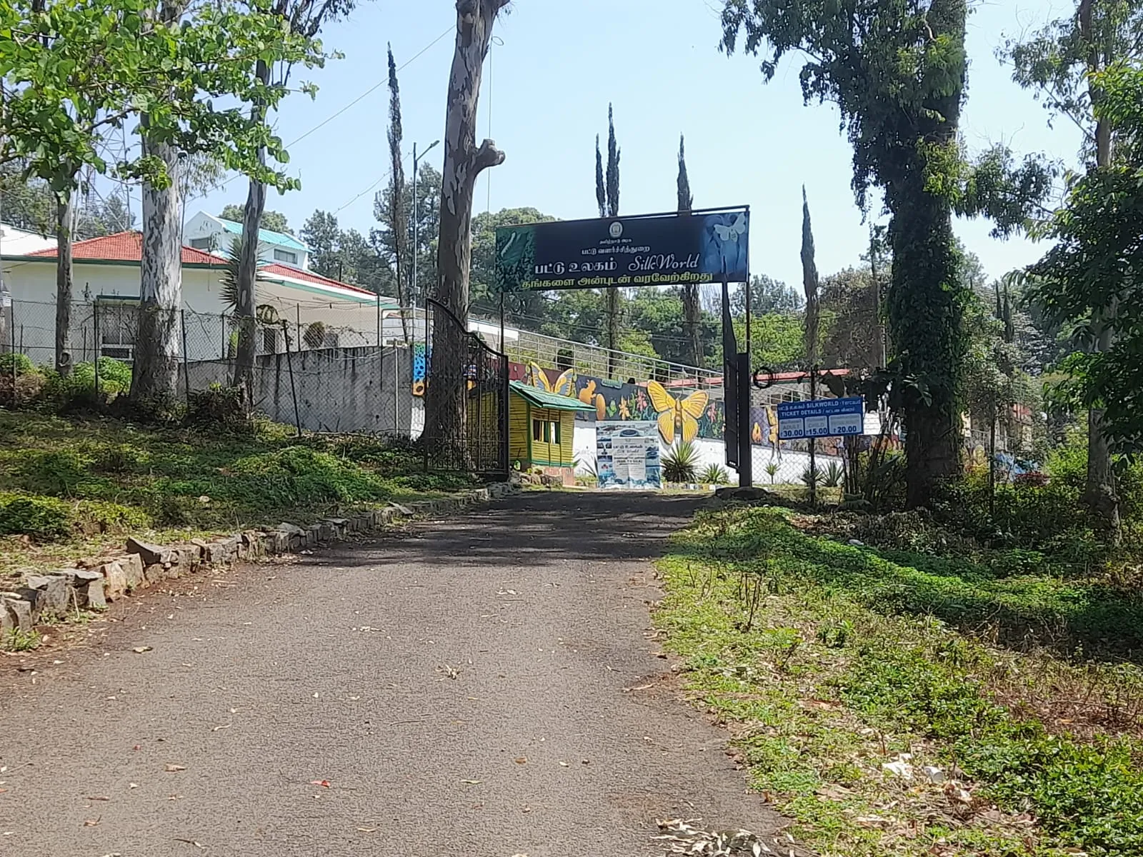 Yercaud pattu