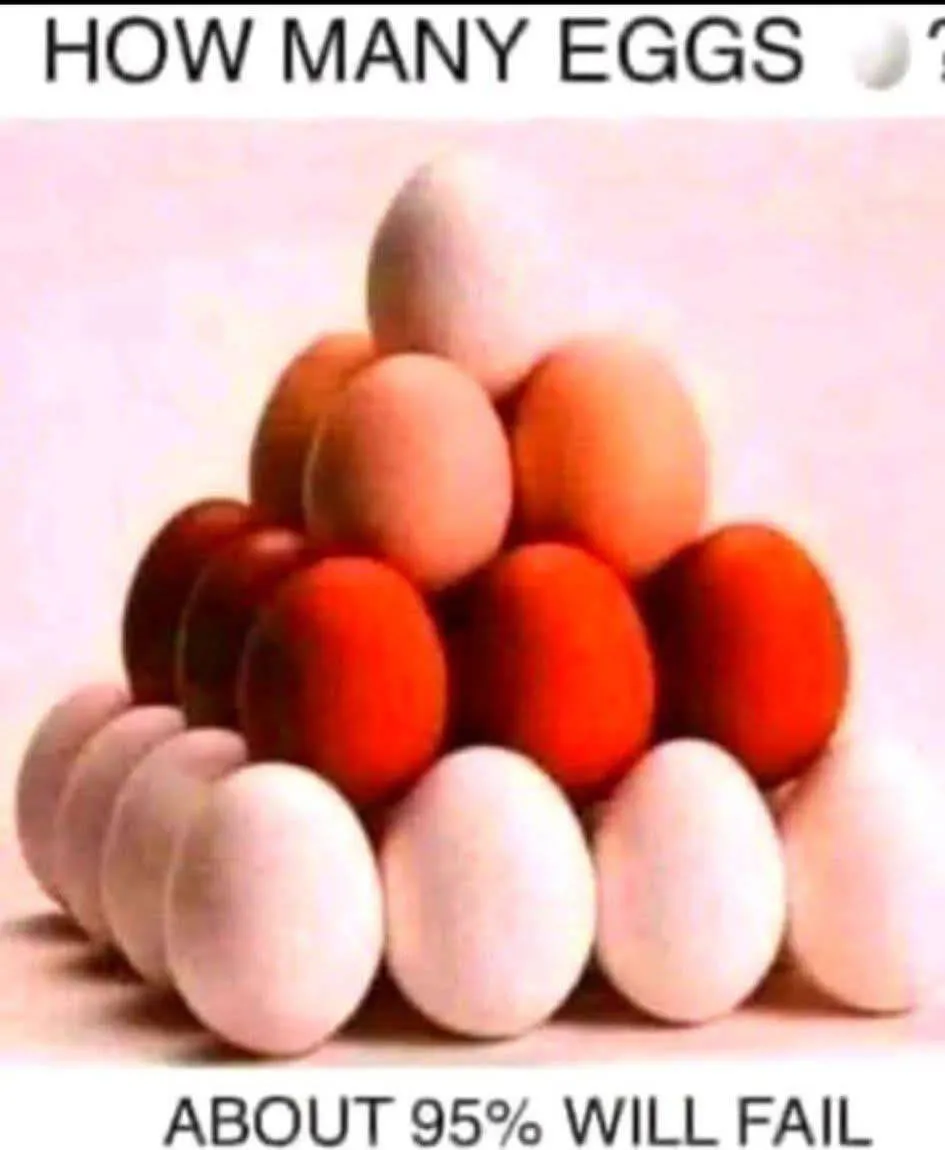 eggs