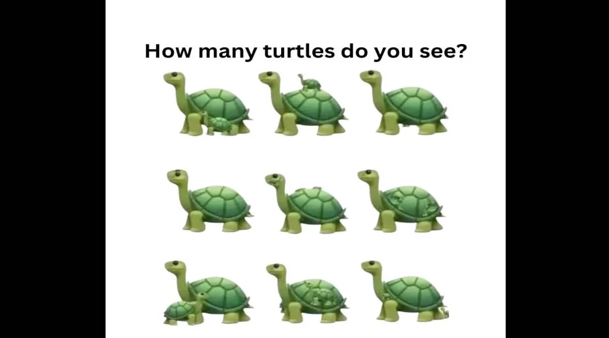 tor