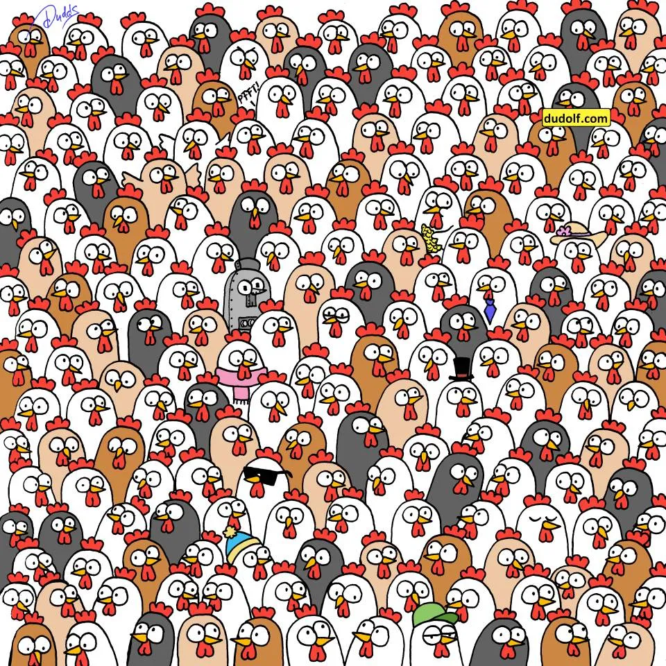owl