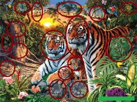 tiger