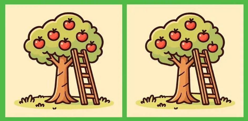 spot the differences in 11 seconds