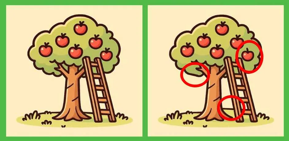 spot the differences in 11 seconds solved