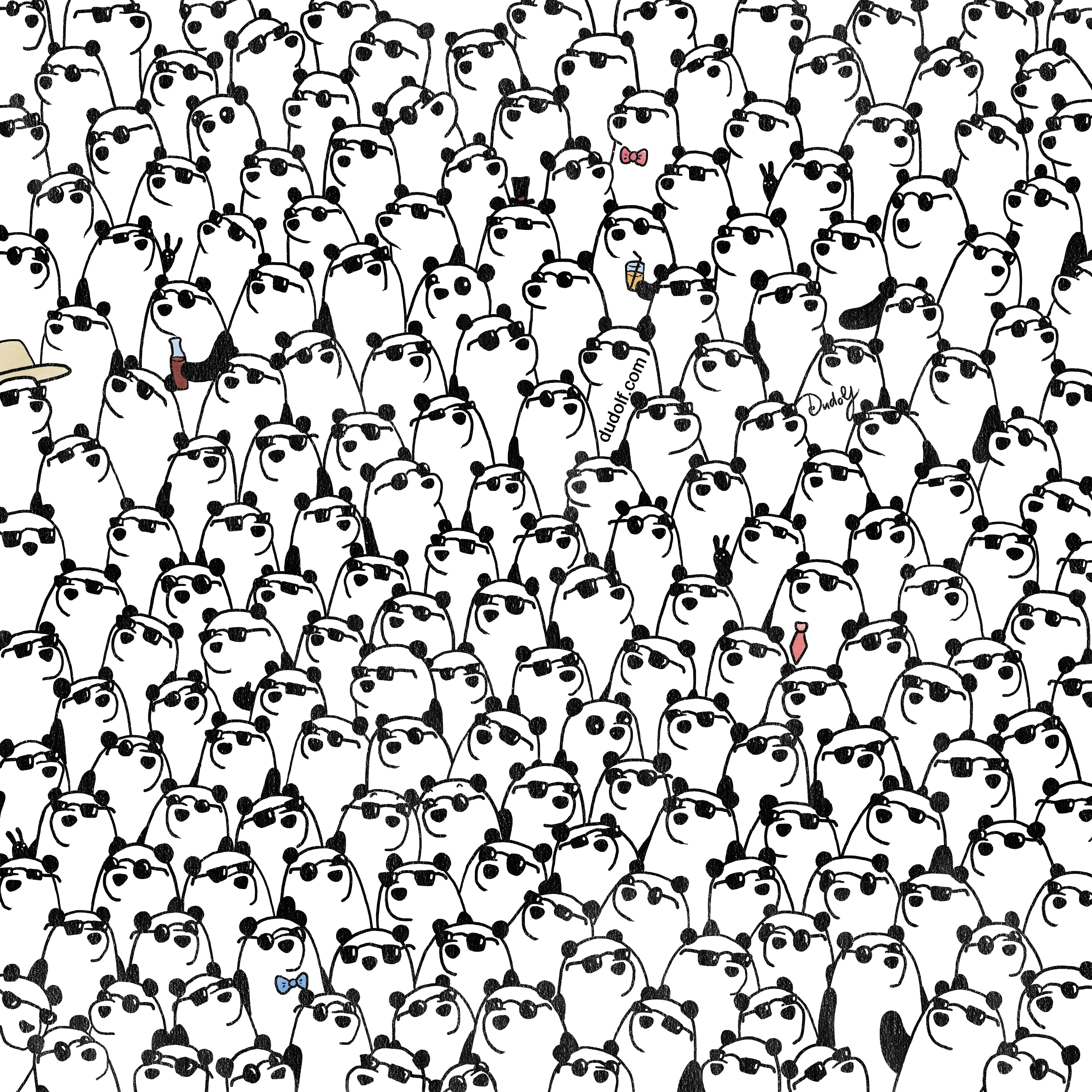 panda