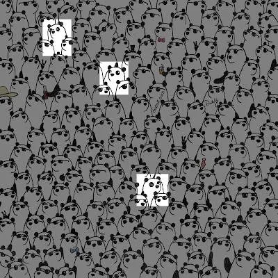 panda