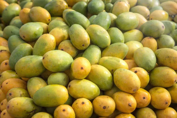 mango