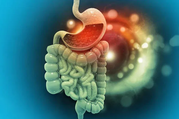 gut health