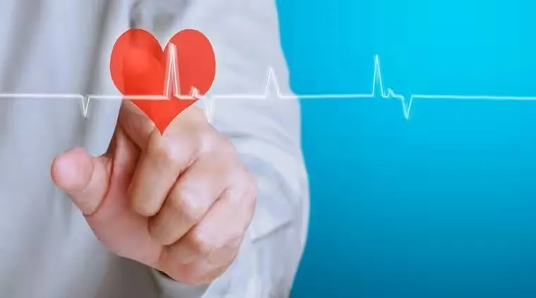 Heart