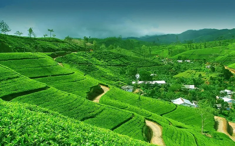 Complete Kerala Travel Guide - Explore tour of ‘God’s Own Country’