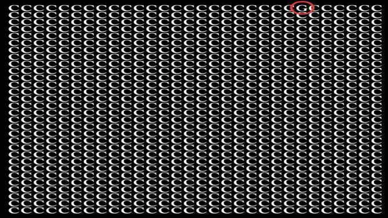 puzzle2.jpg