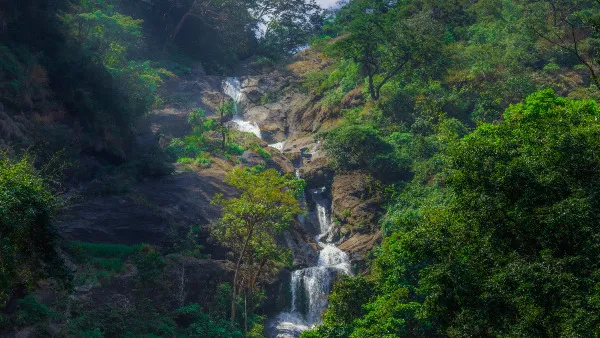 ஒரு மணி நேரத்தில் கோயம்புத்தூரில் நீங்கள் சூப்பரா இந்த 3 ...