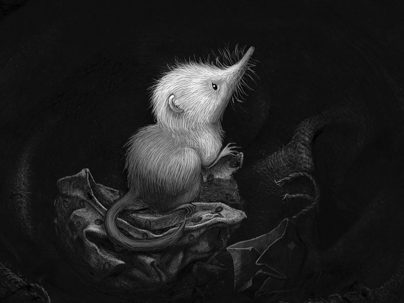 THE-LITTLE-SHREW