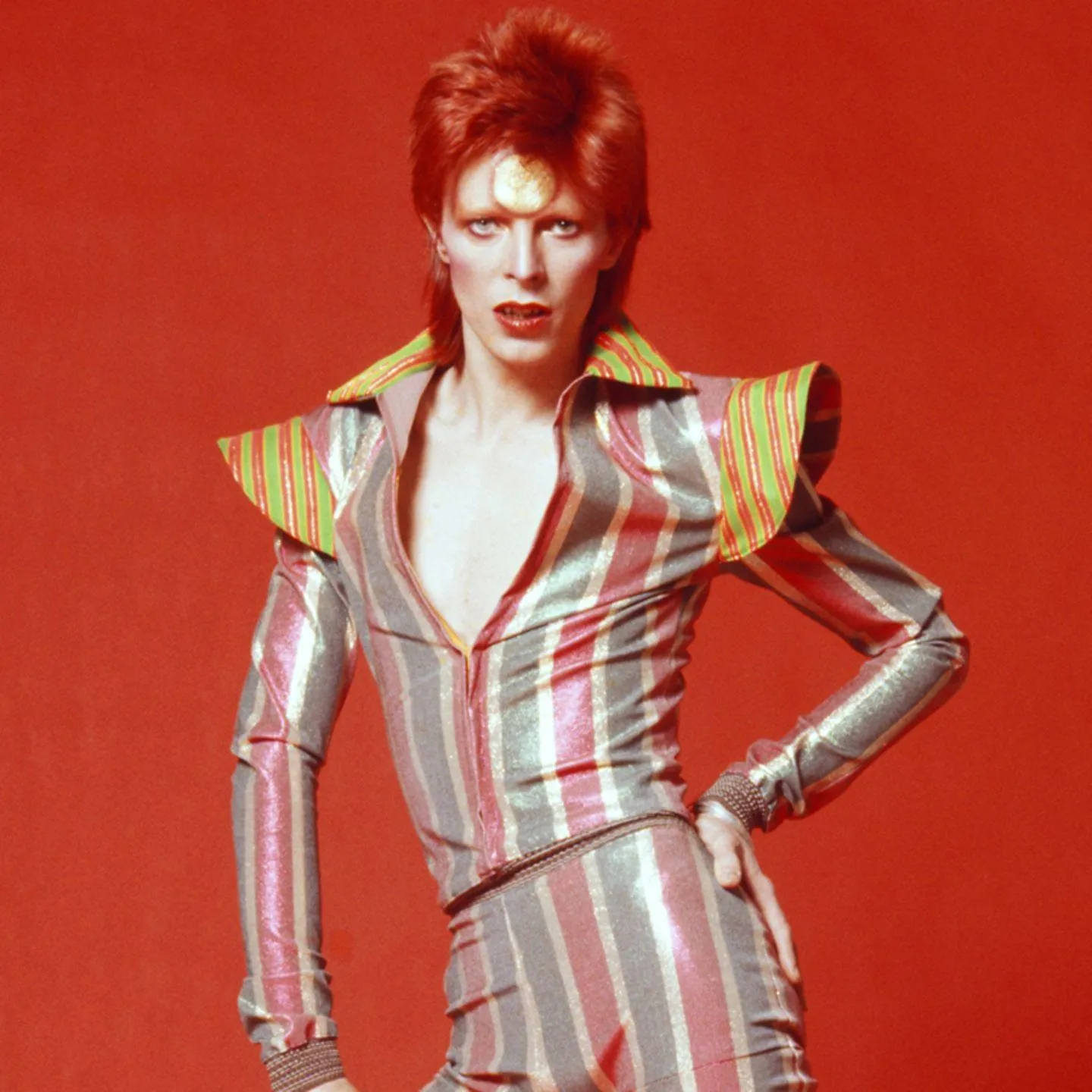 David Bowie | David Bowie Wiki | Fandom