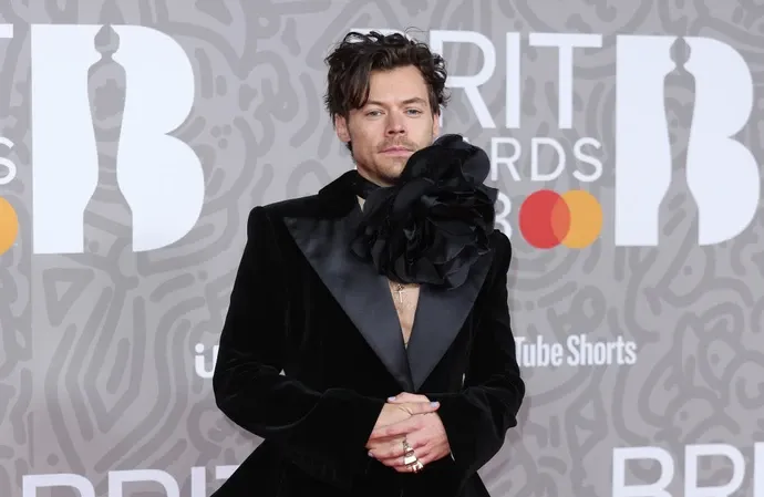Harry Styles to curate Meltdown Festival 2026 | BANG Premier