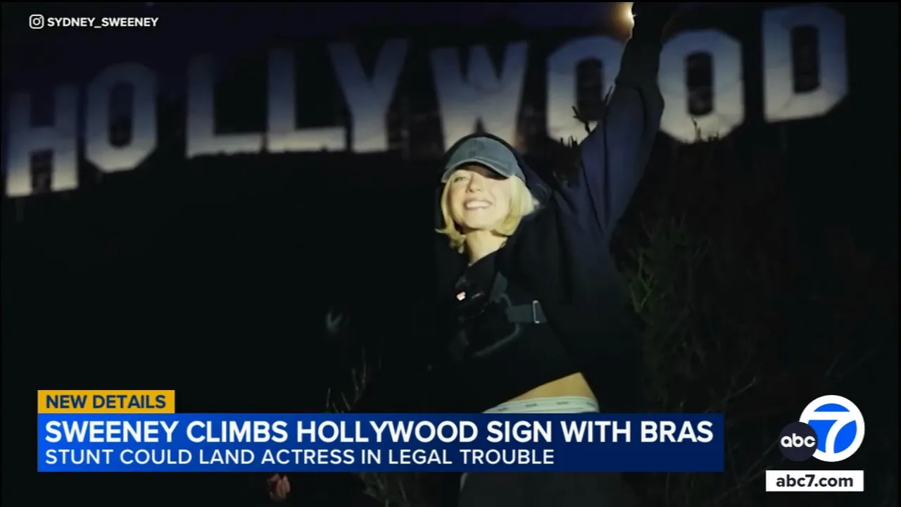 Actress Sydney Sweeney could face legal trouble after draping Hollywood Sign  with bras in apparent promotion of lingerie line - ABC7 Los Angeles