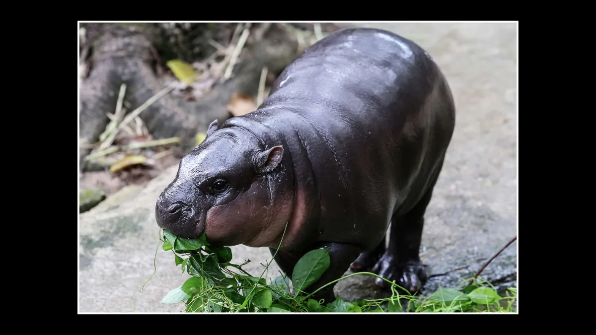 E:\Social Media Data\Downloads\Untitled design (2).png