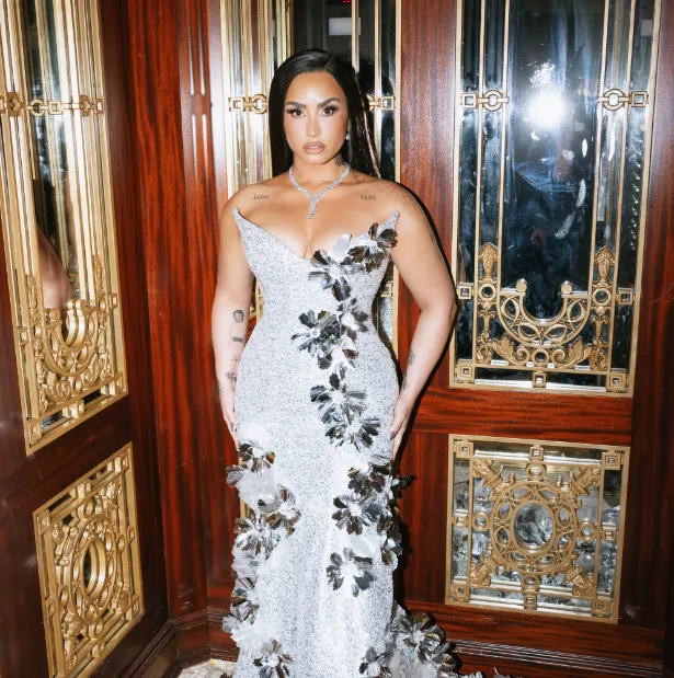 Demi Lovato Mental Health