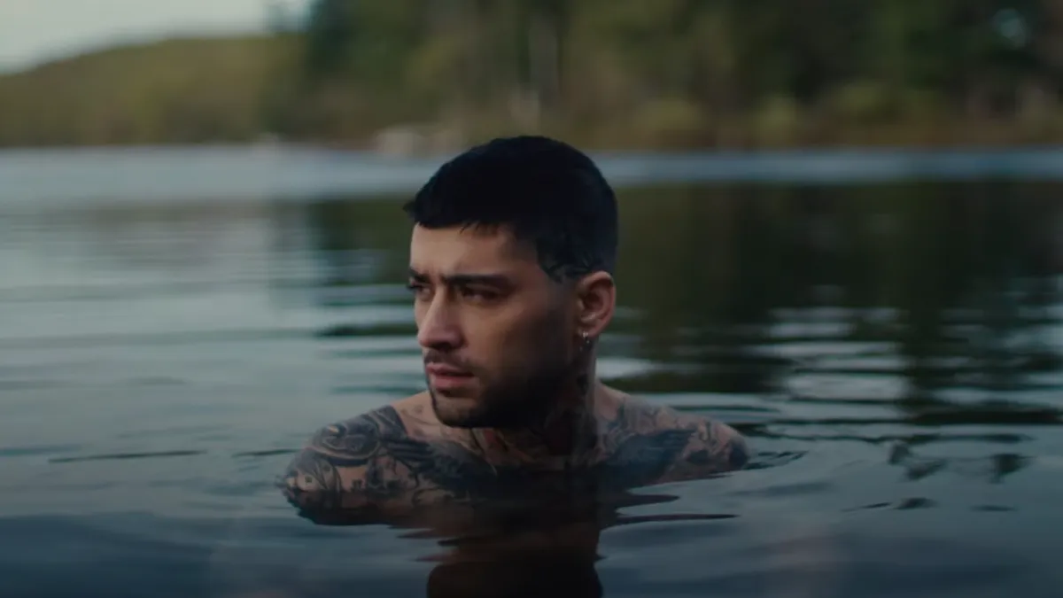 Zayn Malik Stardust Video