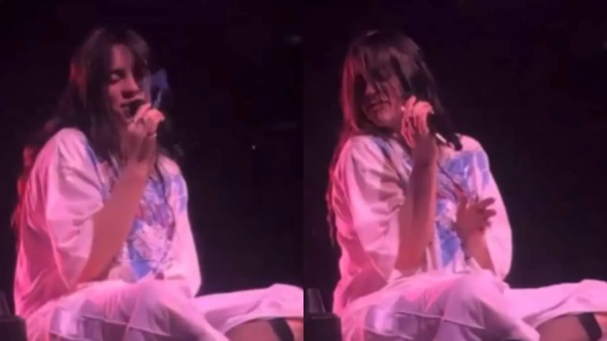 Billie Eilish Gets Hit During Concert After A Fan Throws Object At Her,  Singer Upset | Watch | Movies News - News18