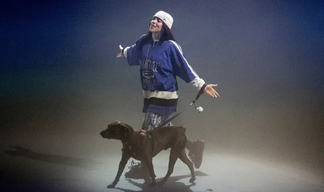Billie Eilish Hard And Soft