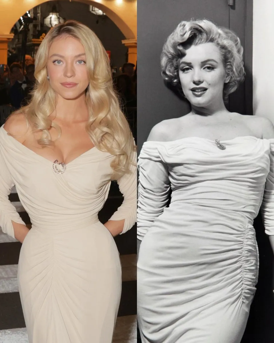 Sydney Sweeney channeled Marilyn Monroe's iconic look 70 years later in a  vintage Ceil Chapman gown on the Annual Santa Barbara International Film  Festival Virtuosos Award ceremony red carpet.