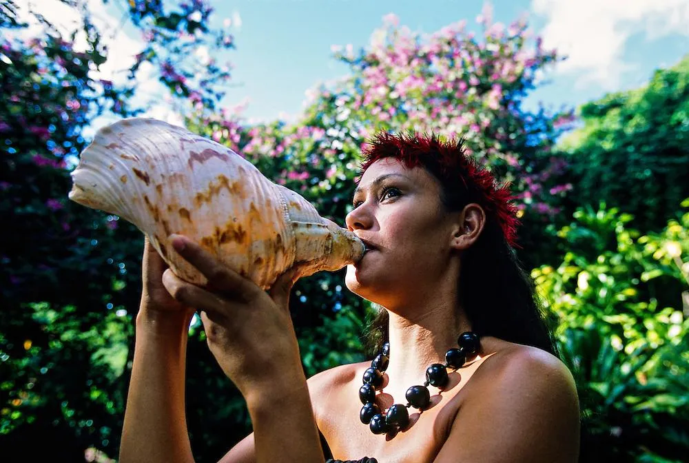 What Is The Importance Of The Conch Shell In God's Temple?, 41% OFF