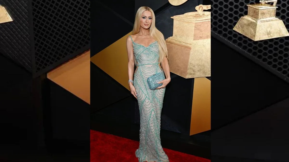 Grammys 2024 Red Carpet