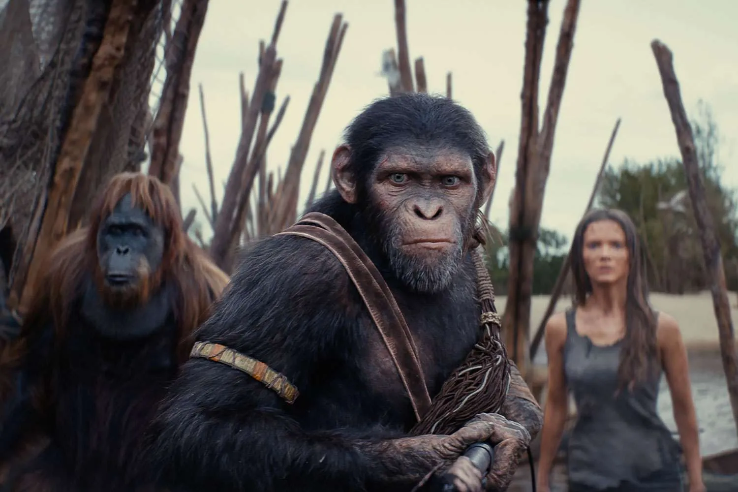 Planet of The Apes