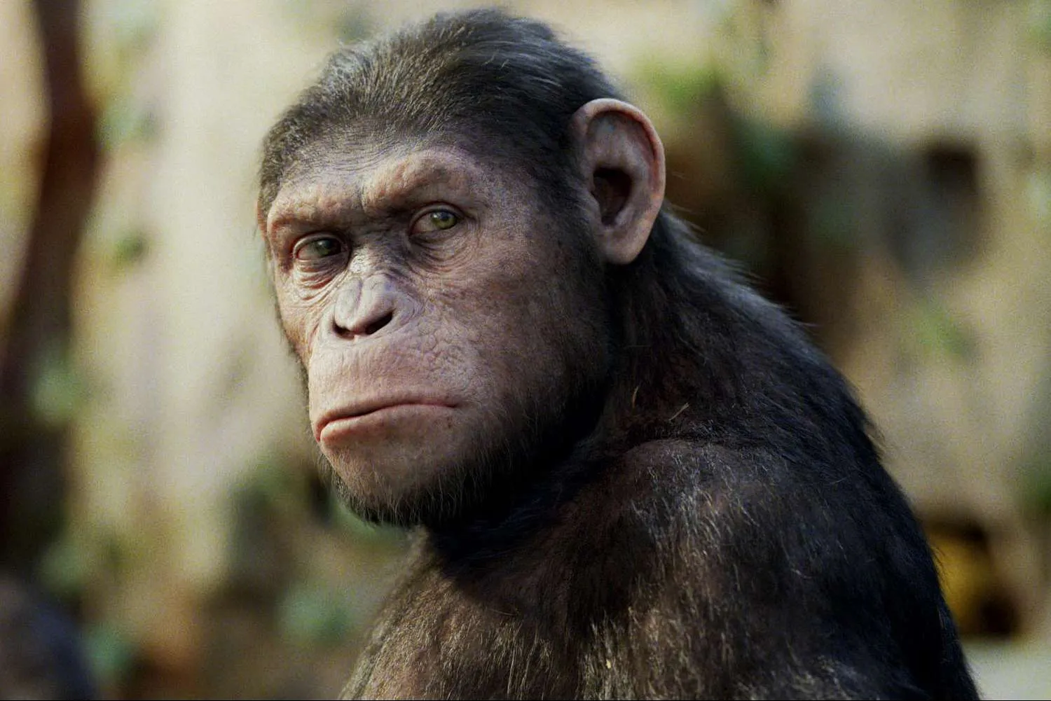 Planet of The Apes