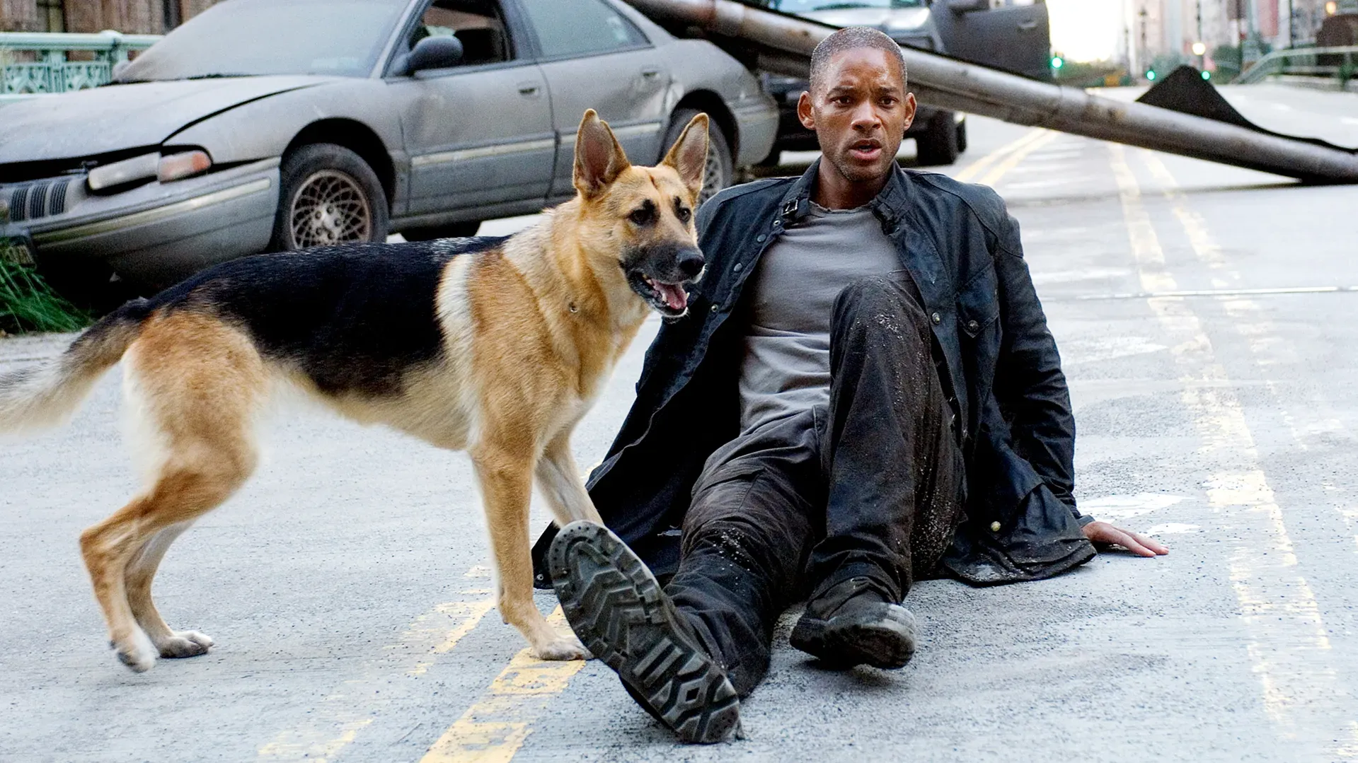 Will Smith I Am Legend Dog